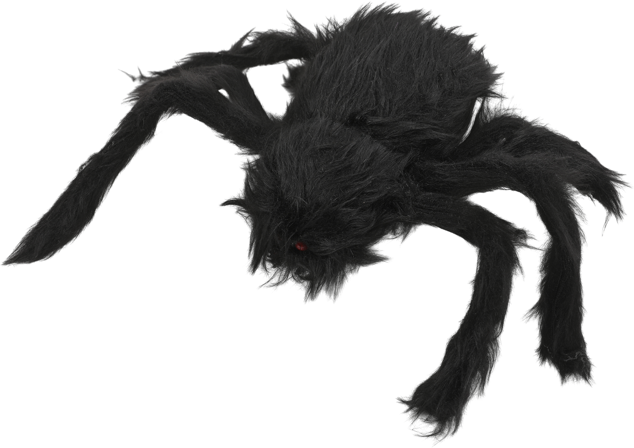 Spindel