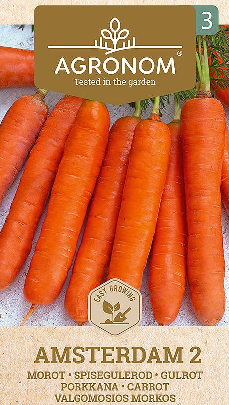 Frö Morot Amsterdam