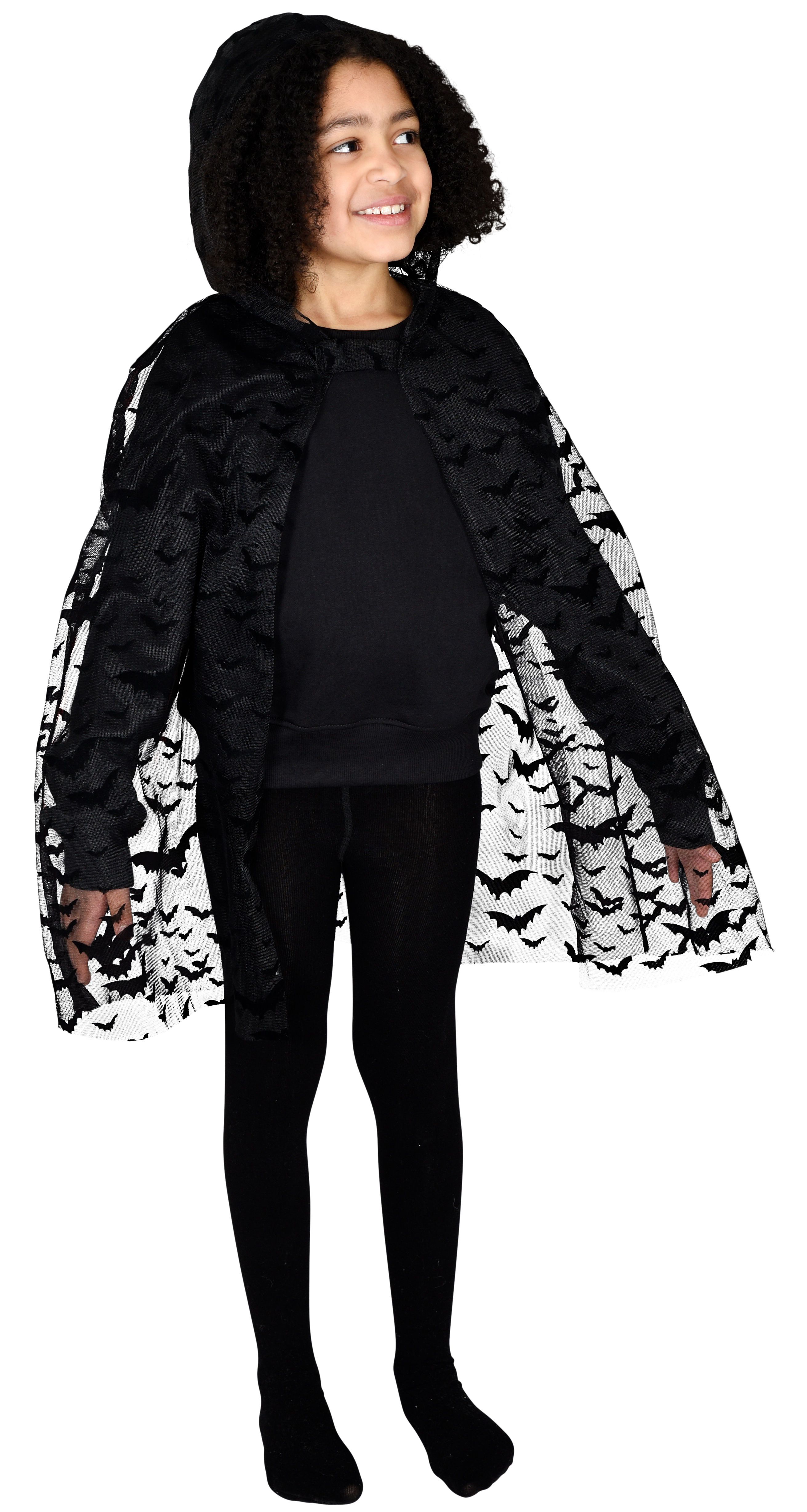 Cape fladdermus