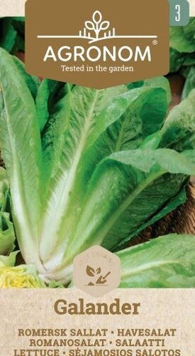 Frö Sallad Galander