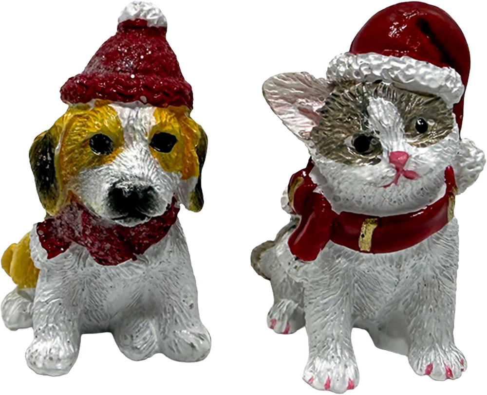 Katt & hund till Nisse