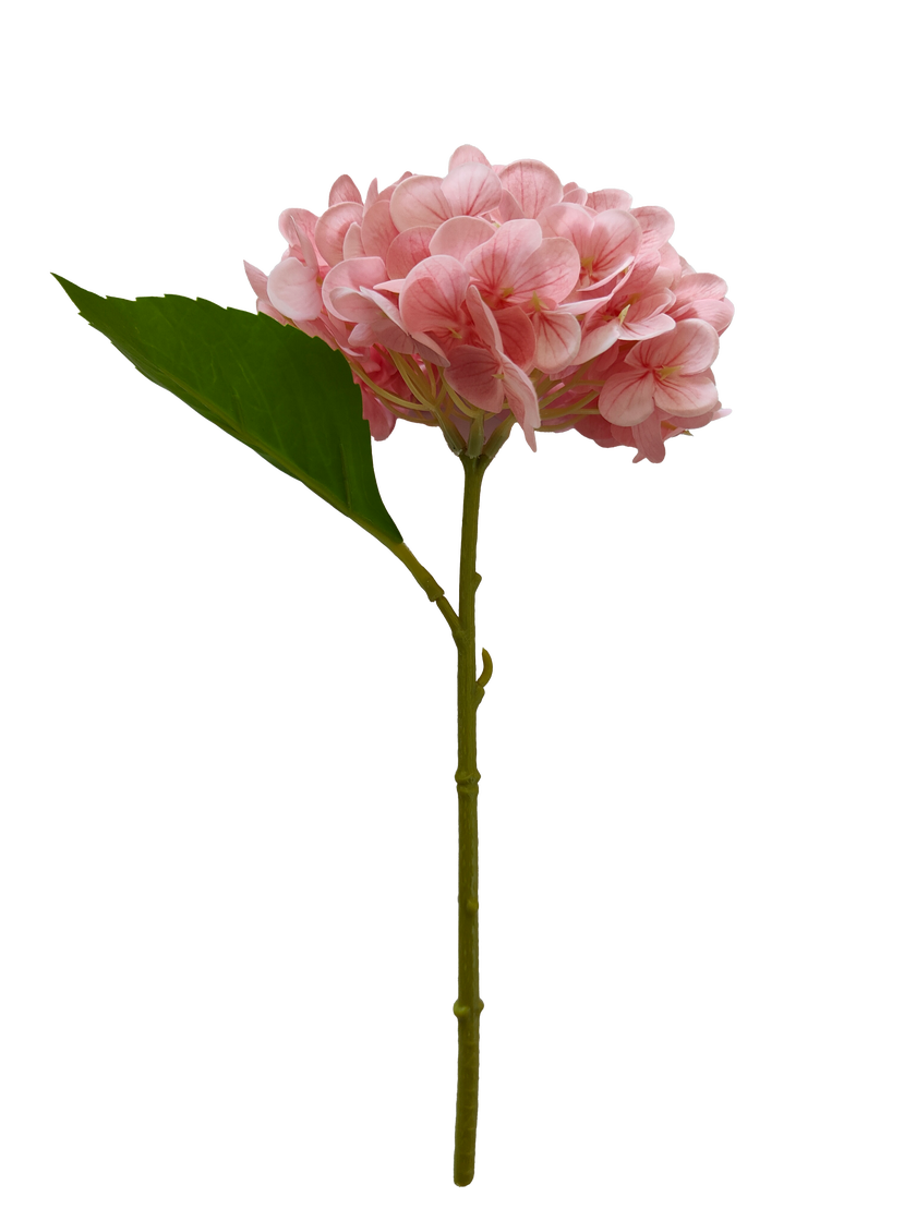 Konstväxt Hortensia