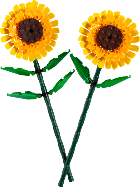 LEGO® Botanicals