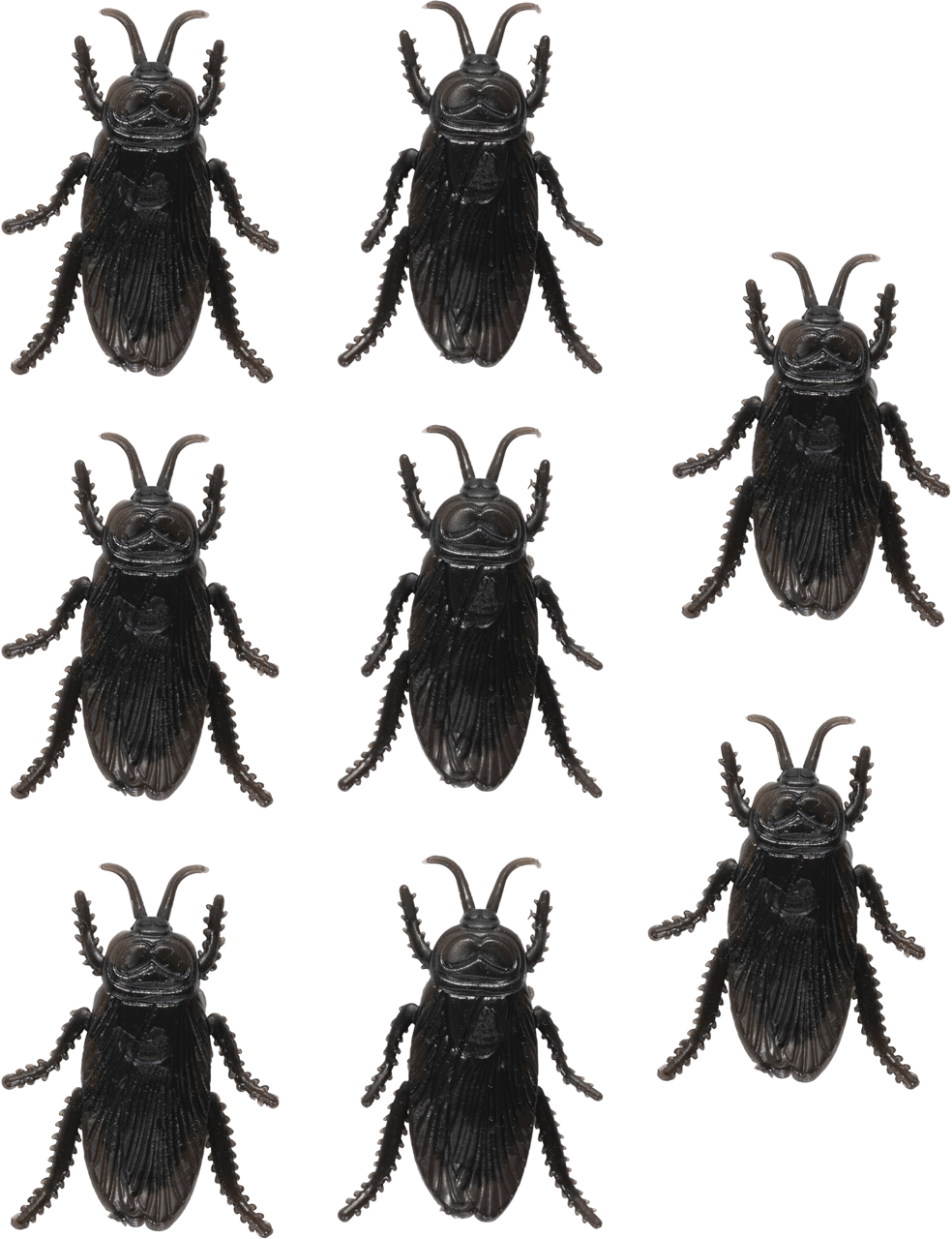 Kackerlackor