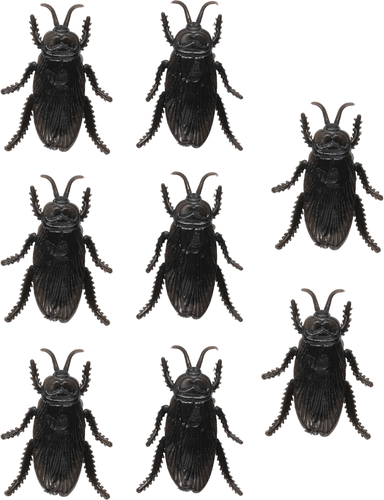 Kackerlackor