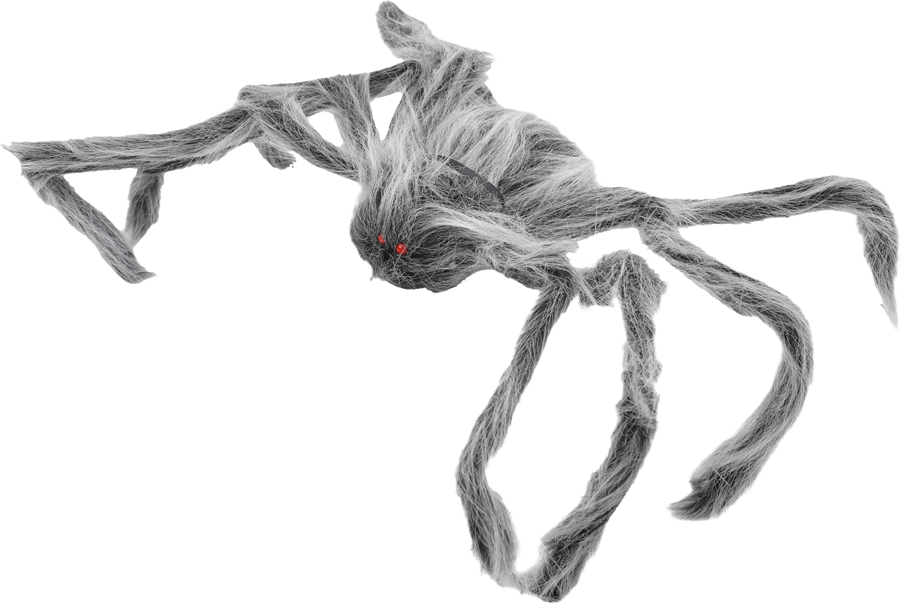 Spindel