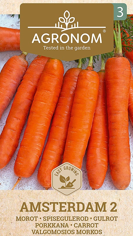 Frö Morot Amsterdam