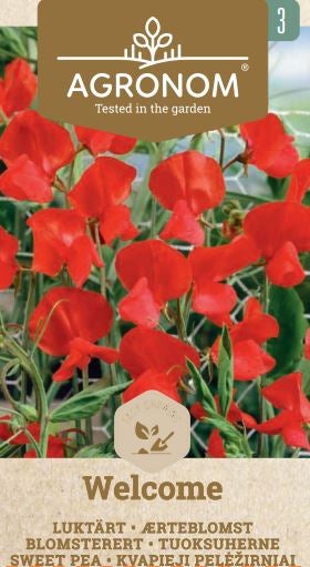 Frö Luktärt Welcome