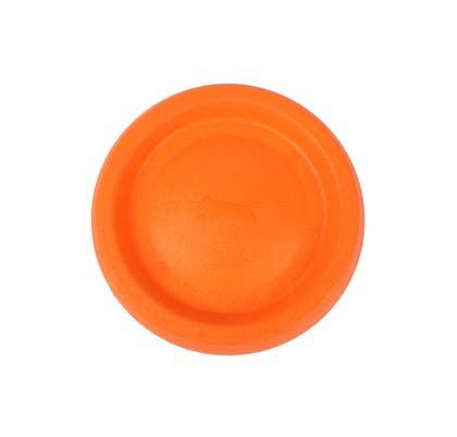 Flytande frisbee