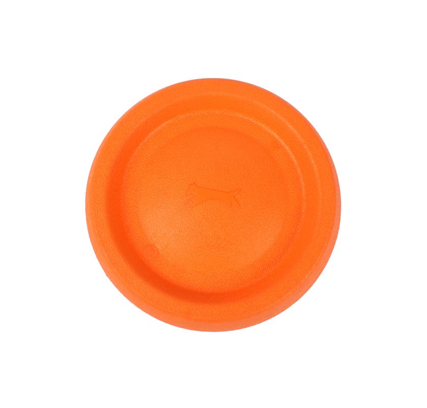 Flytande frisbee