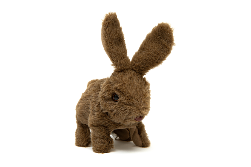 Hoppande Kanin