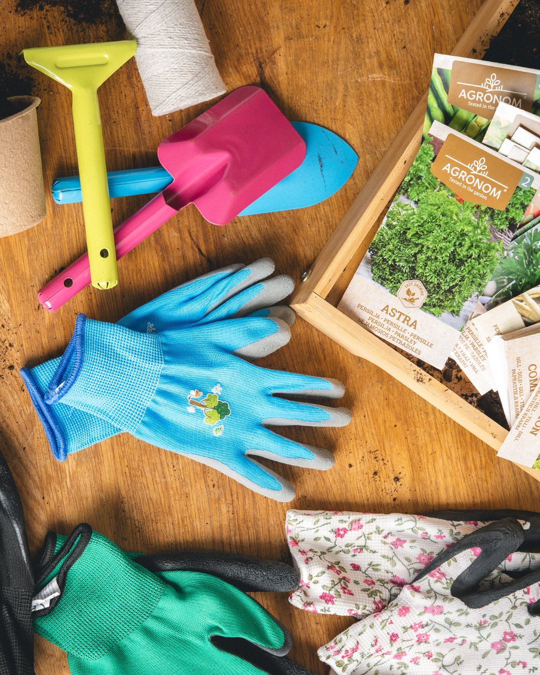 Vad kan du plantera under våren?